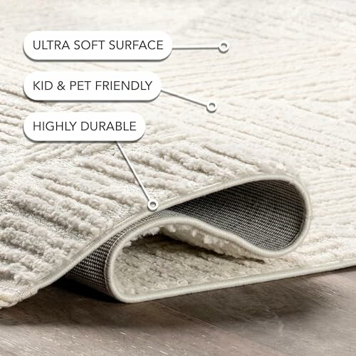 Close-up of a soft, durable rug with kid and pet-friendly features.