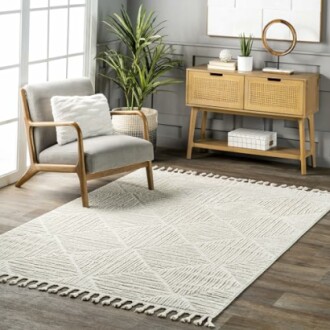 nuLOOM Kerry Geometric Accent Rug